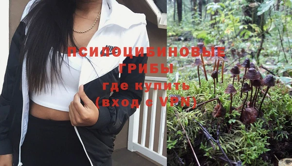 тгк Покровск