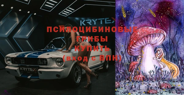 тгк Покровск