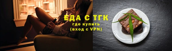 индика Покачи