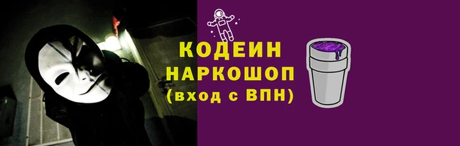 индика Покачи