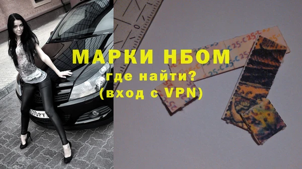 индика Покачи