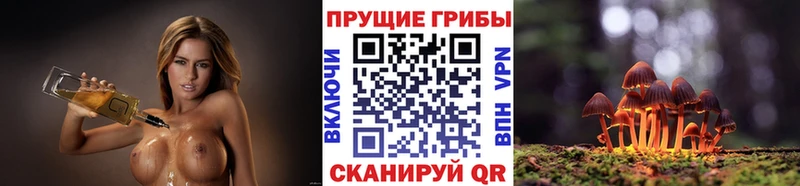 Псилоцибиновые грибы Magic Shrooms  Купить закладки  Череповец 