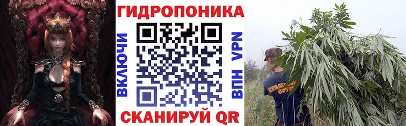 Шишки марихуана план  Купить где  Череповец 